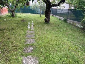 a stone path in the grass near a tree at ca' de Nardo in Tuoro sul Trasimeno