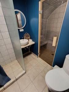 ein Badezimmer mit Dusche, Toilette und Waschbecken in der Unterkunft Чабарня in Pukhovka