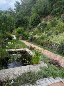 a garden with a pond and a path at Domek se zahrádkou in Zbečno