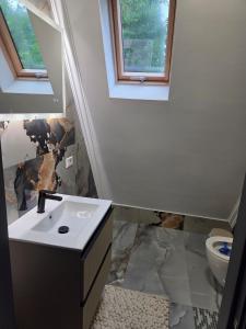 a bathroom with a sink and a toilet at The Robian Chalet in Suceviţa