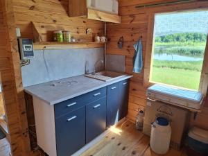 a kitchen with a sink and a window in a cabin at Poilsio nameliai ūkyje Šironija in Ambraziškiai