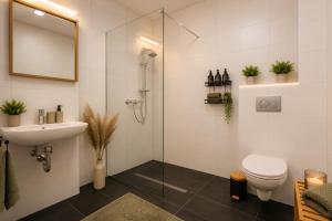 a bathroom with a shower and a toilet and a sink at Schängel Chic 27 in Koblenz