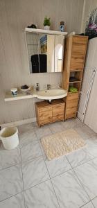ein Badezimmer mit Waschbecken und Spiegel in der Unterkunft Miniapartement in Netzschkau