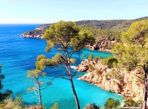 a view of a beach with blue water and trees at Bas de villa 2 à 5 couchages in Évenos
