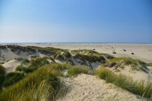 a sandy beach with cars parked on the sand at Frifelt Kro Almost Glamping telt in Frifelt +8 photos