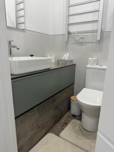 ein weißes Badezimmer mit Waschbecken und Toilette in der Unterkunft Casa Noa in Marginea