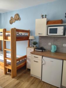 a small kitchen with a bunk bed and a microwave at Hortenzie in Česká Skalice