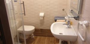 a bathroom with a toilet and a sink and a shower at Apartmani Marko in Nin +50 photos