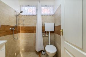 a bathroom with a toilet and a shower at Csendliget Apartman in Dunavarsány