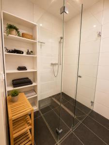 a bathroom with a shower with a glass door at Schängel Chic 03 in Koblenz
