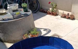 a group of potted plants sitting on a patio at CASA PITA Completa Grupos in San Justo de la Vega