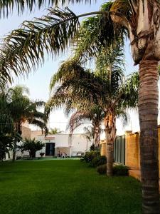 a couple of palm trees in a yard at Villa Angela in Marinella di Selinunte
