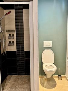 a bathroom with a toilet and a shower at Yamohome in Brussels +9 photos