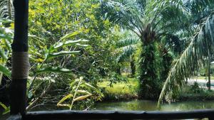 a view of a jungle with palm trees and water at enDanni Bed in Ban Phak Chit
