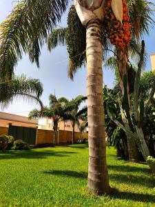 a palm tree with a bunch of flowers on it at Villa Angela in Marinella di Selinunte