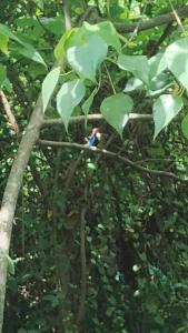a person is sitting on a tree branch at enDanni Bed in Ban Phak Chit
