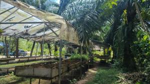 a greenhouse full of plants in a garden at enDanni Bed in Ban Phak Chit