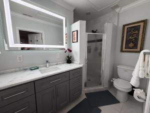 a bathroom with a sink and a toilet and a mirror at National Harbor Suite 2 in Fort Washington +12 photos