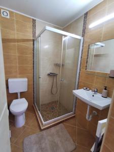 a bathroom with a shower and a toilet and a sink at Mátra Kulcsosház - Mátraszentimre in Mátraszentimre
