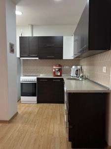 a kitchen with black cabinets and a counter top at Apartman L&L in Sarajevo