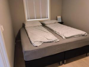 two twin beds in a room with a window at Modern 1BR City Centre Apt - Sleeps 4 in Otta