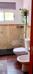 a bathroom with two toilets and a plant on the wall at Casa Yahshua in Villaverde +53 photos
