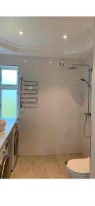 a bathroom with a shower and a toilet in it at Tivoligatan in Höganäs