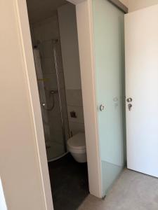 a bathroom with a toilet and a glass shower at Baumannhaus in Ziemetshausen