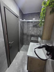 a bathroom with a shower and a white sink at Zulu Suites in Istanbul +19 photos