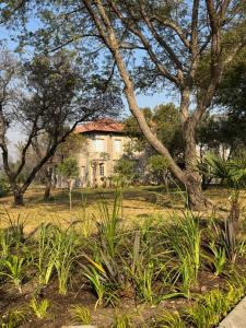 a house in the middle of a field with trees at Villa Euris Guesthouse in Brits