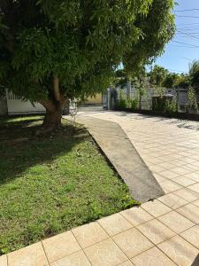 a tree in a yard next to a sidewalk at Appt Cosy Belcourt in Baie-Mahault