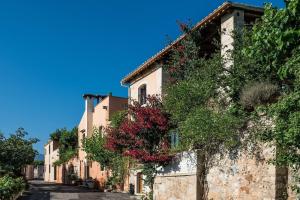 an alley with plants on the side of a building at Kamares Private Pool stone Villa in Makhairoí