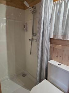 a bathroom with a shower and a toilet and a shower curtain at Ailéa Tiny House avec jacuzzi privatif in Beaumes-de-Venise