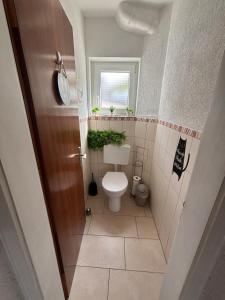 un piccolo bagno con WC e finestra di MaRe FeWo a Hettingen Altre 2 foto