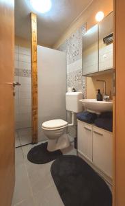 a bathroom with a toilet and a sink at Apartment Volk Turjaški in Gabrovka