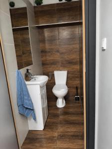 a bathroom with a toilet and a sink at Apartament na Wzgórzu in Wieliczka