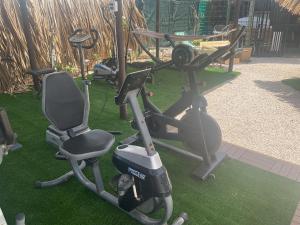 a group of exercise bikes parked on the grass at Casa Chiquito in Savaneta