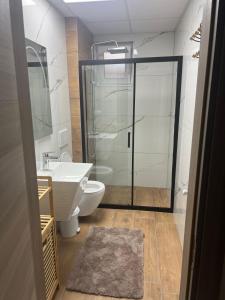 a bathroom with a shower and a toilet and a sink at Agel Inn Apartments Mavrovo in Mavrovo +51 photos