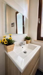 a bathroom with a white sink and a mirror at Rousmoosen house in Rocca San Giovanni