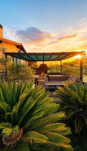 a view of a patio with a pavilion and palm trees at Rousmoosen house in Rocca San Giovanni