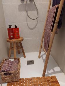 a bathroom with a shower with a ladder and two bottles at Le Temps des Cerises in La Cresse