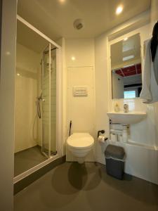 a bathroom with a toilet and a sink and a shower at HOSTEL Les Bois Verts - Les Herbiers in Les Herbiers