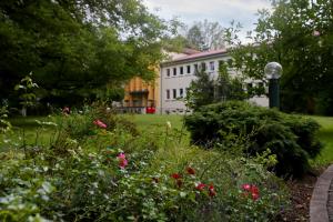 Κήπος έξω από το Tagungshaus Regina Pacis +17 φωτογραφίες