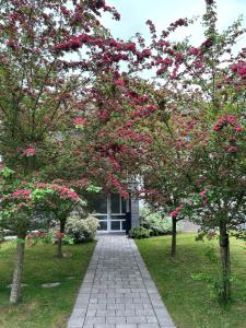 a house with pink flowering trees in front of it at Modern feel-good apartment in Bad Lippspringe