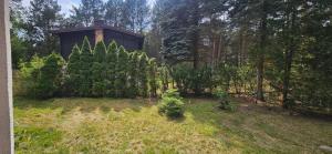 a garden with trees and a house in the background at Domek Basia in Deskurów