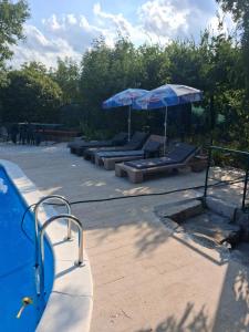 a swimming pool with umbrellas and loungersitures at Apartments Bosket in Kastav