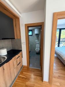 a bathroom with a sink and a toilet in a room at Treska Kop Luccas Residence in Cajetina +54 photos
