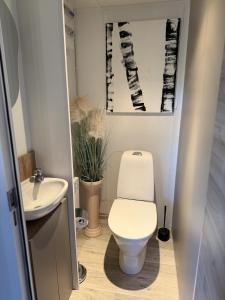 a bathroom with a toilet and a sink at Tiny House in Jukkasjärvi in Jukkasjärvi