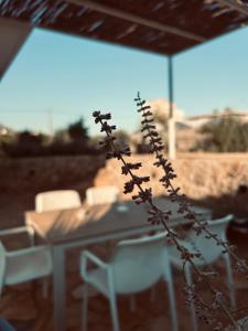 a table and chairs sitting on a patio with a plant at Thalassa Grammeno seaview house in Palaiochora