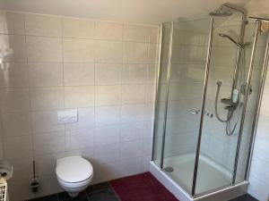ein Badezimmer mit Toilette und Glasdusche in der Unterkunft Alb-Blick in Göppingen + 4 Fotos